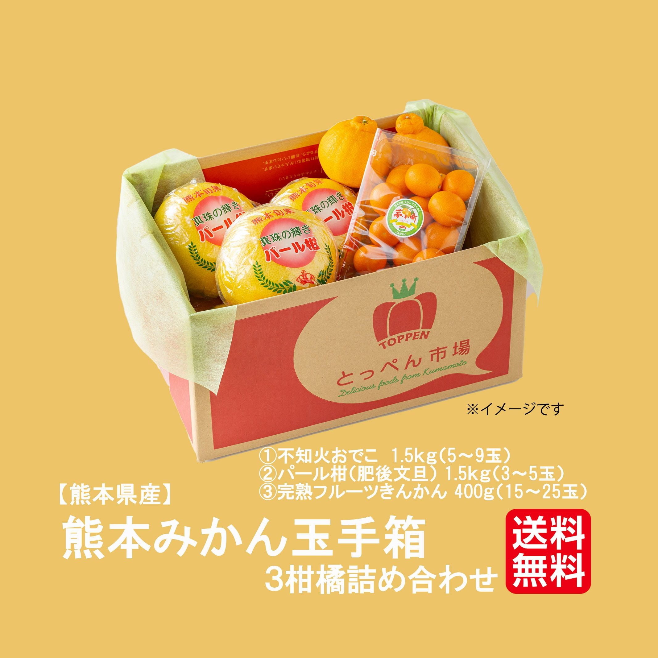 熊本みかん玉手箱 3柑橘詰め合わせ 約3.4kg【送料無料】 - とっ