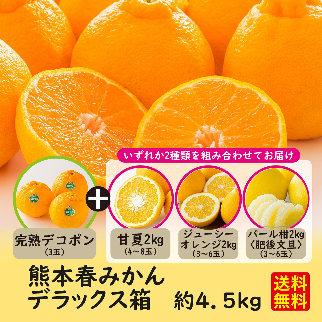 熊本春みかん デラックス箱 3種柑橘詰め合わせ(約4.5kg）【送料無料