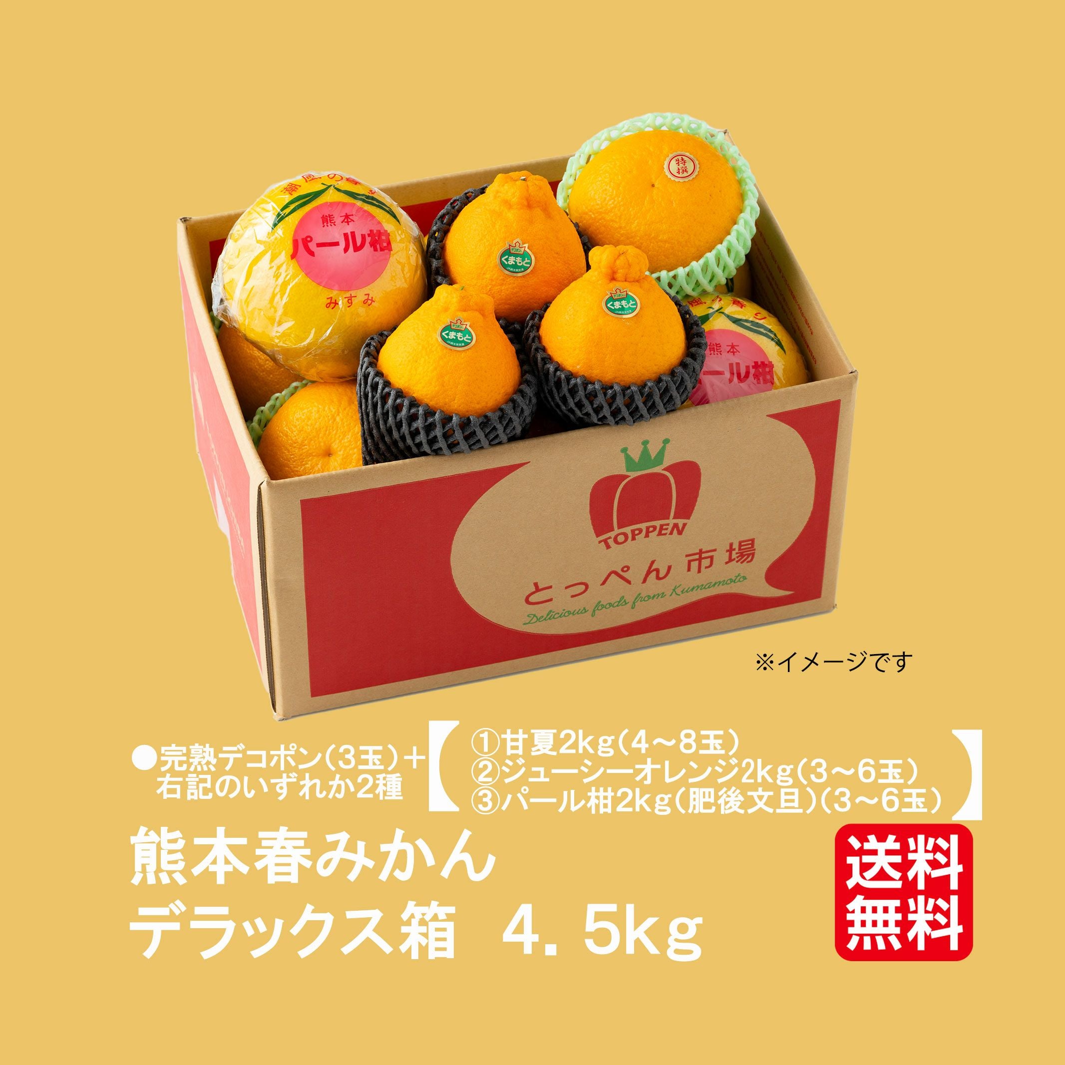 熊本春みかん デラックス箱 3種柑橘詰め合わせ(約4.5kg）【送料無料