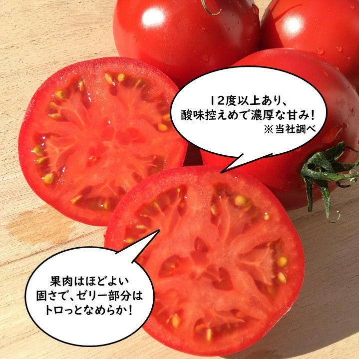 弾ける美味しさ！完熟 極甘トマト （約1kg／18～24玉）【送料無料