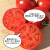 弾ける美味しさ！完熟　極甘トマト　（約１ｋｇ／18～24玉）