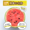 ≪2026年父の日限定ギフト≫ 小玉すいか＆アールスメロンセット【送料無料】