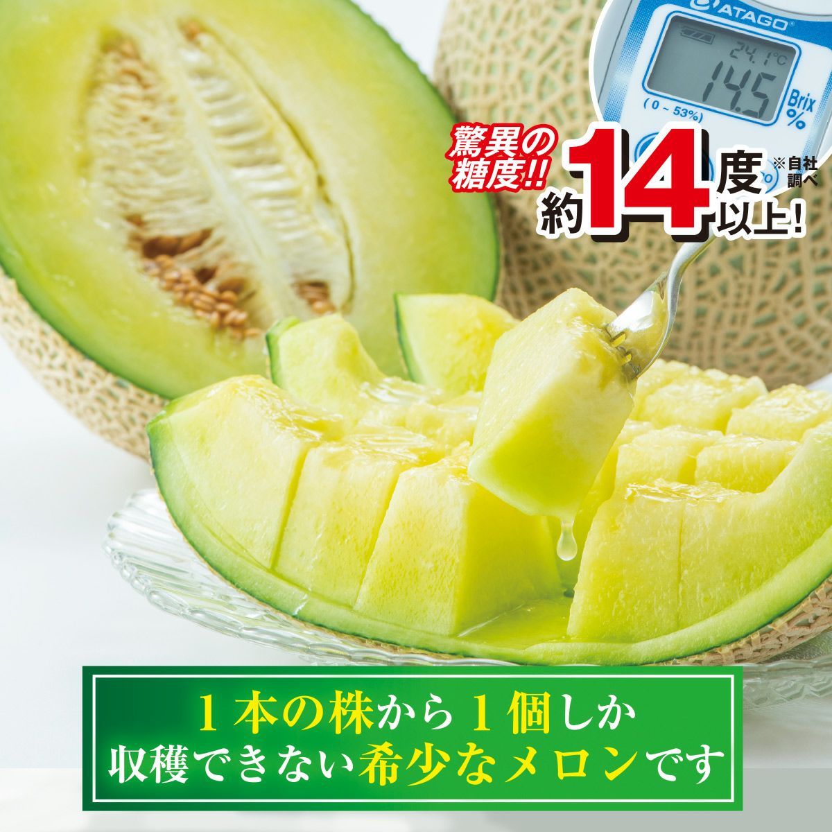 ≪2026年父の日限定ギフト≫ 小玉すいか＆アールスメロンセット【送料無料】