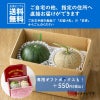 ≪2026年父の日限定ギフト≫ 小玉すいか＆アールスメロンセット【送料無料】