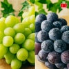 シャインマスカット＆種無しピオーネセット（各１房ずつ／1房：500ｇ前後） 【送料無料】