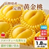 長野県産　完熟　黄金桃 約1.8kg
