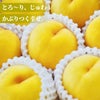 長野県産　完熟　黄金桃 約1.8kg