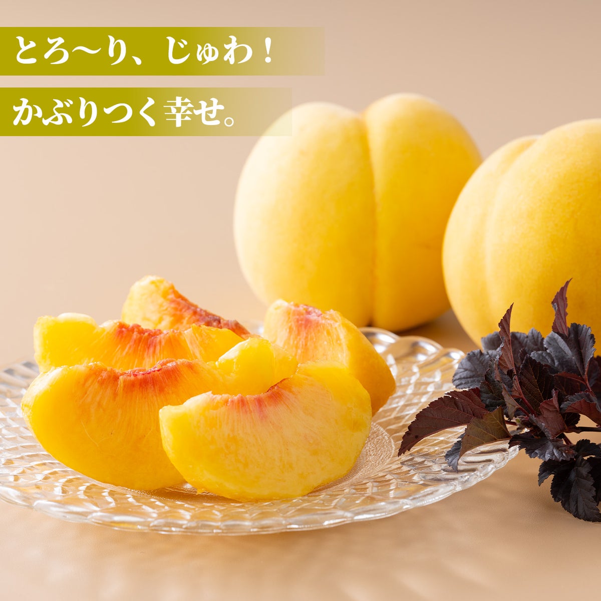 長野県産　完熟　黄金桃 約1.8kg