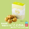 生産者指定｜≪化粧箱入≫特選あきづき「ことのみ」 約3.5kg（5～8玉入／1玉：400～600ｇ）【送料無料】