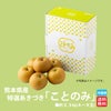 生産者指定｜≪化粧箱入≫特選あきづき「ことのみ」 約3.5kg（5～8玉入／1玉：400～600ｇ）【送料無料】