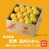 完熟　温州みかん 約5kg（50～90玉入り M～2Sサイズ）【送料無料】