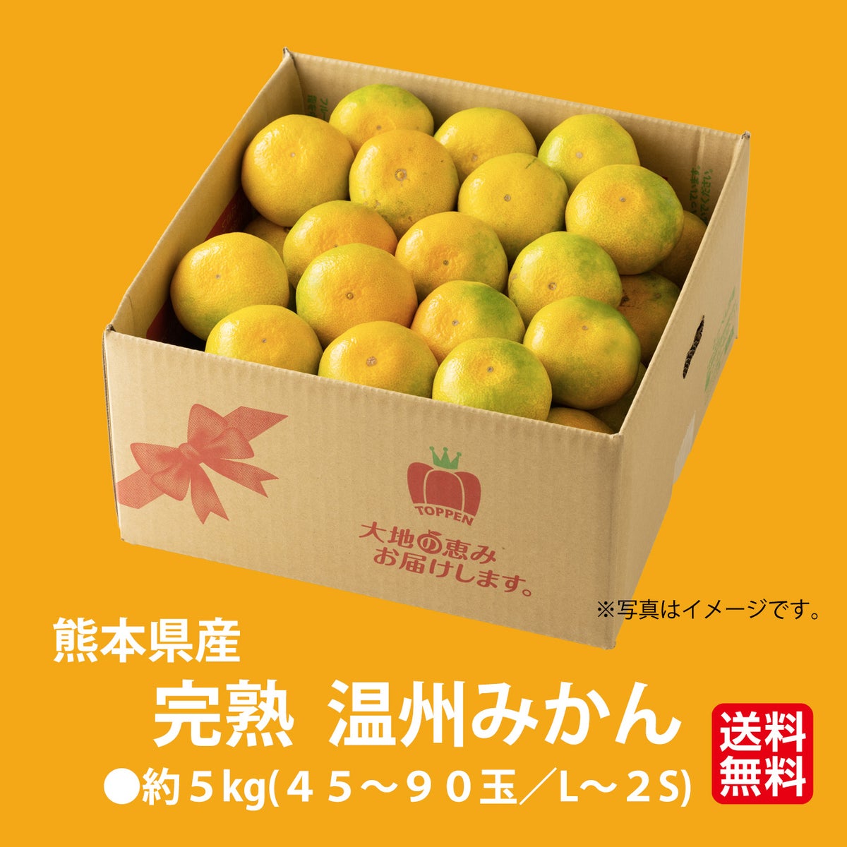 完熟　温州みかん 約5kg（50～90玉入り M～2Sサイズ）【送料無料】