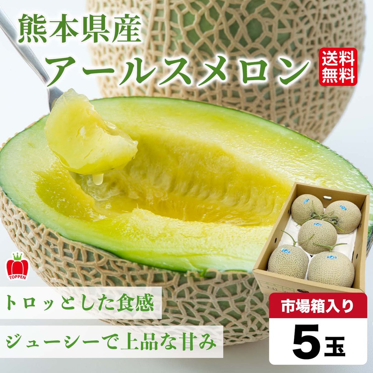 ◇市場箱◇熊本県産　完熟アールスメロン 5玉入【送料無料】