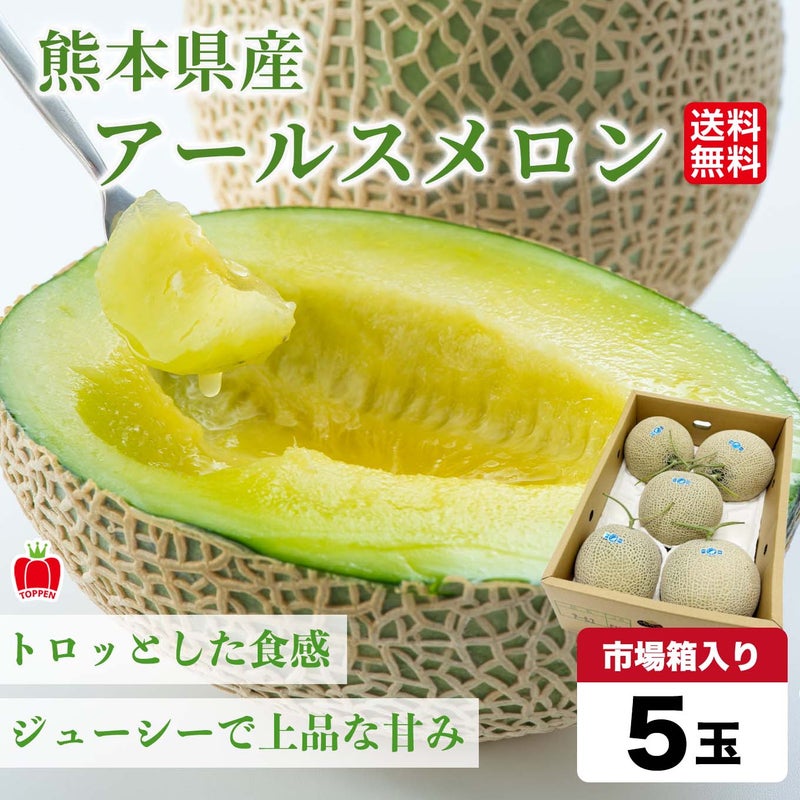 ◇市場箱◇熊本県産　完熟アールスメロン 5玉入【送料無料】