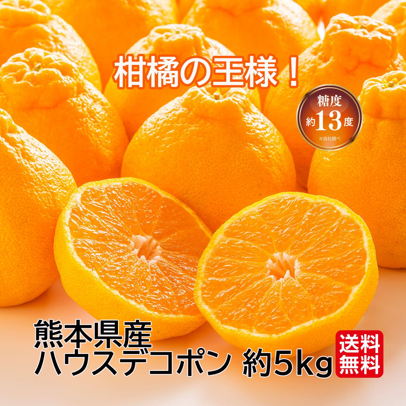 ⑦熊本産　デコポン　肥の豊　約10kg お買い得　家庭用　送料無料 訳あり 不知火 約4キロ デコポン 肥の豊 ｜ 果物/オレンジ・その他