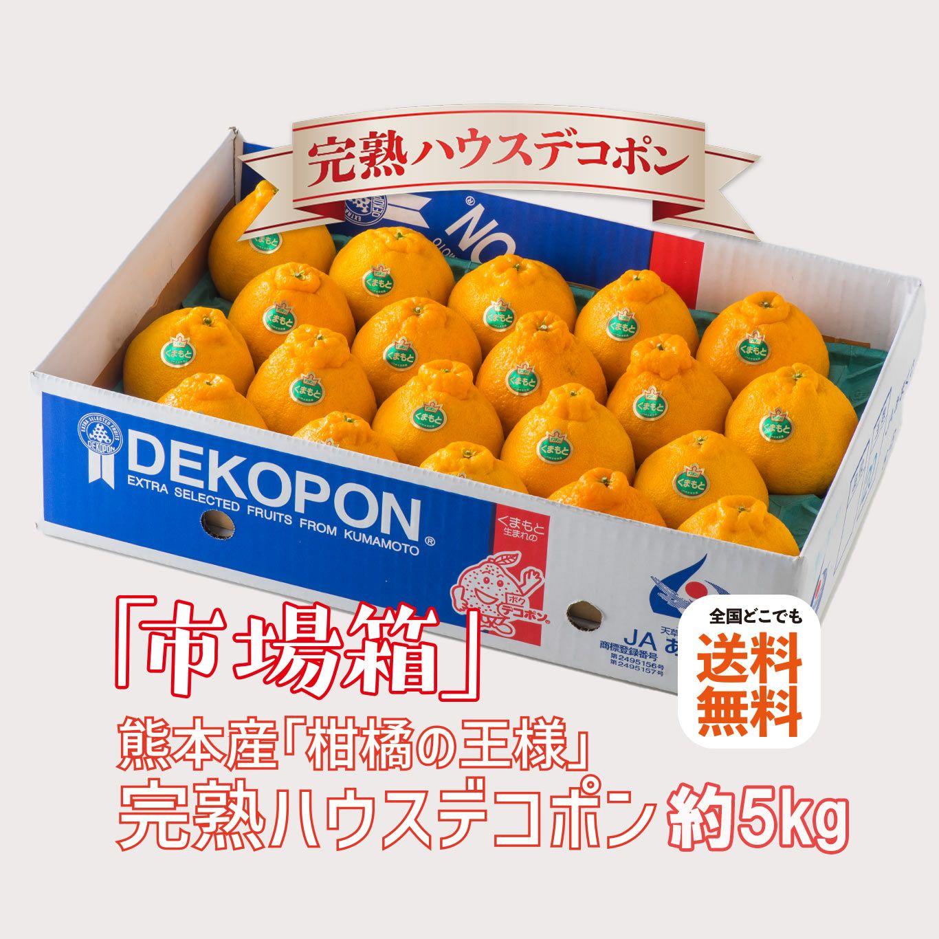 熊本県産 完熟ハウスデコポン 大箱 約5kg（12～18玉）【送料無料