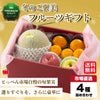 冬のご褒美　フルーツギフト（4種類詰合せ）【送料無料】