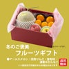 冬のご褒美　フルーツギフト（4種類詰合せ）【送料無料】