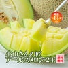 小山さんの完熟アールスメロン 2玉入り【送料無料】