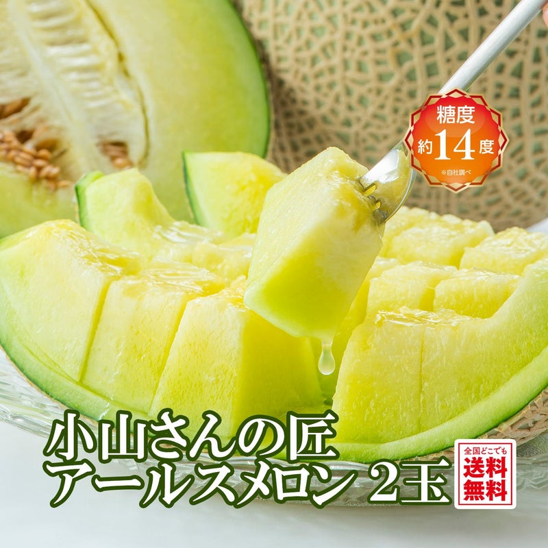 小山さんの完熟アールスメロン 2玉入り【送料無料】