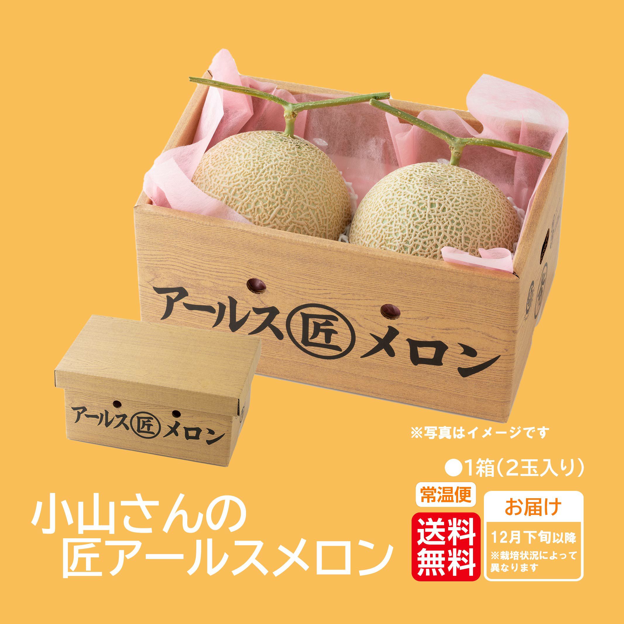 小山さんの匠アールスメロン 2玉入り【送料無料】 - とっぺん市場