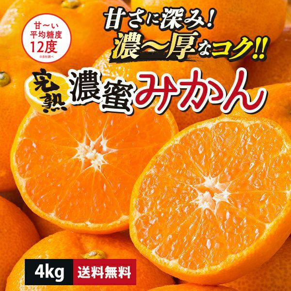 熊本県産 完熟濃蜜みかん 約4kg（30～50玉入り L～S）【送料無料