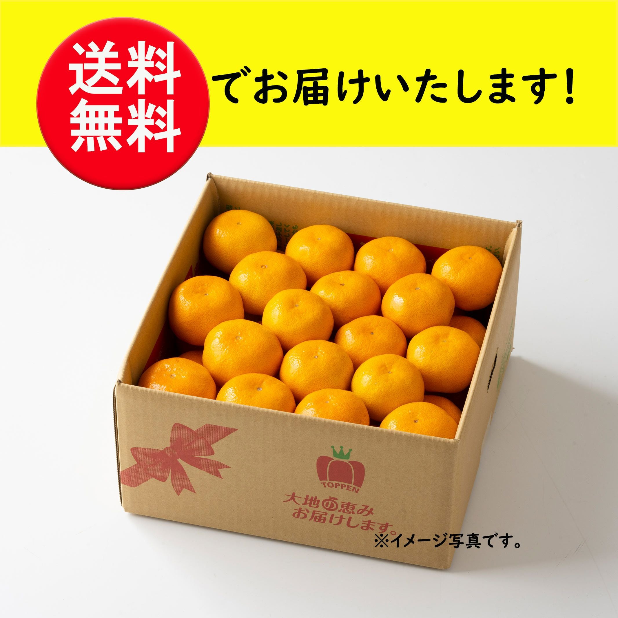 熊本県産 完熟濃蜜みかん 約4kg（30～50玉入り L～S）【送料無料