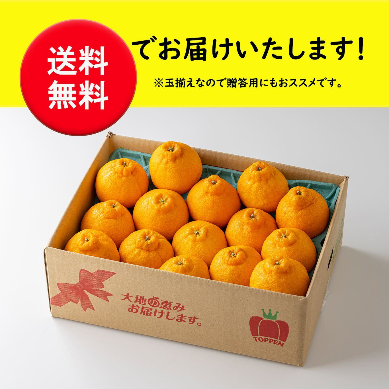 ≪特選≫玉揃え蔵熟不知火おでこ 3kg（9～16玉入） - とっぺん市場