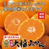完熟大福みかん 約4kg（20玉前後／ 2L～3Lサイズ混合）【送料無料】