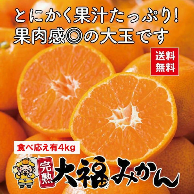 完熟大福みかん 約4kg（20玉前後／ 2L～3Lサイズ混合）【送料無料】