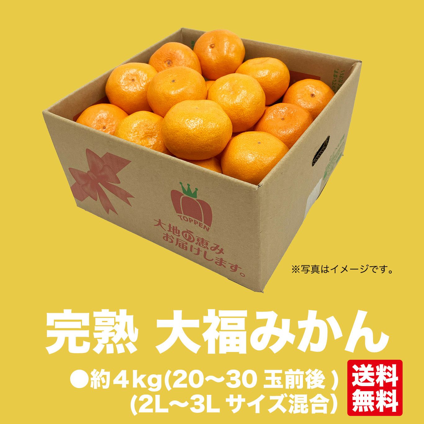 完熟大福みかん 約4kg（20～30玉前後／ 2L～3Lサイズ混合）【送料無料