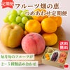 フルーツ畑の恵み詰め合わせ定期便≪2～5種類（2～4kg）詰合せ／月1回お届け：無期限≫【毎月一律価格・送料無料】