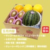フルーツ畑の恵み詰め合わせ定期便≪2～5種類（2～4kg）詰合せ／月1回お届け：無期限≫【毎月一律価格・送料無料】