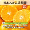 熊本みかん定期便≪月1回お届け便：無期限／初月のみ特別価格　2ヶ月目以降の価格は毎月一律≫【送料無料】