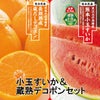 どちらも食べたい！小玉すいか＆蔵熟デコポンセット【送料無料】
