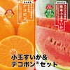 どちらも食べたい！小玉すいか＆デコポンセット【送料無料】