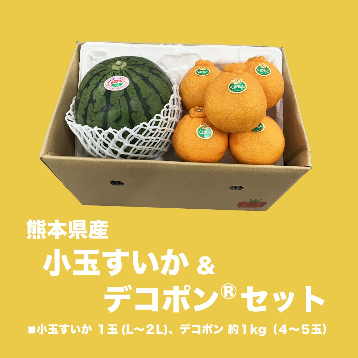 ハンティングシーン　プレート20.５cm２枚 こだますいか どちらも食べたい！小玉すいか＆デコポンセット【送料無料】 - とっ