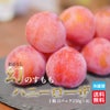 高糖度　幻のすもも　ハニーローザ　4パック（１パック：6～12玉入）【送料無料】