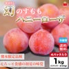 高糖度　幻のすもも　ハニーローザ　4パック（１パック：6～12玉入）【送料無料】
