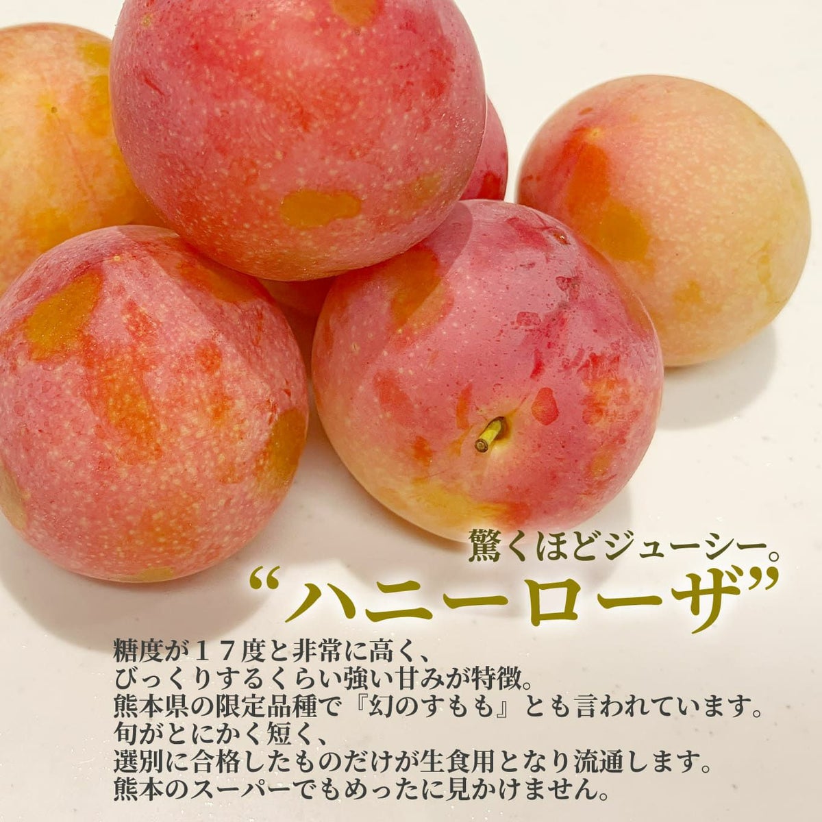 高糖度　幻のすもも　ハニーローザ　4パック（１パック：6～12玉入）【送料無料】