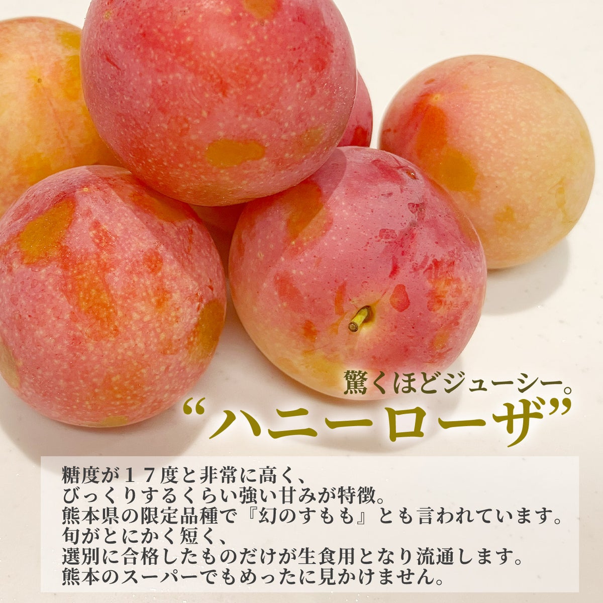 高糖度　幻のすもも　ハニーローザ　4パック（１パック：6～12玉入）【送料無料】
