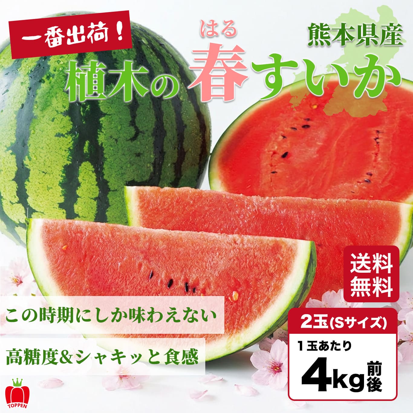 一番出荷 植木の春すいか（2玉〔1玉：4kg前後〕／Sサイズ）【送料