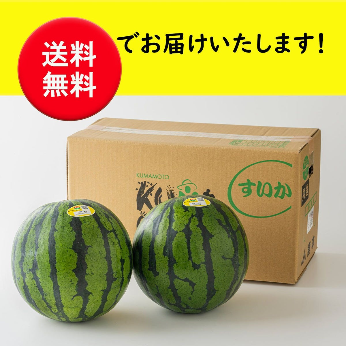 一番出荷　植木の春すいか（2玉〔1玉：4ｋｇ前後〕／Sサイズ）【送料無料】