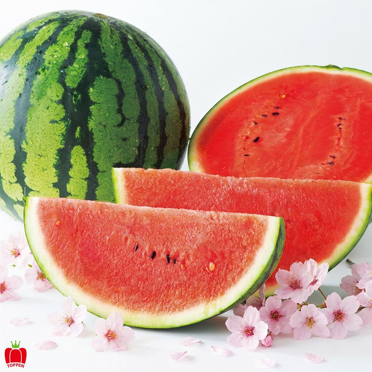 一番出荷　植木の春すいか（2玉〔1玉：4ｋｇ前後〕／Sサイズ）【送料無料】