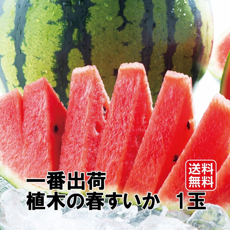 一番出荷　植木の春すいか（１玉：5㎏前後／Ｍサイズ）【送料無料】
