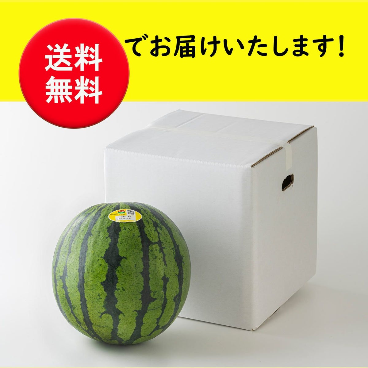 一番出荷　植木の春すいか（１玉：5㎏前後／Ｍサイズ）【送料無料】