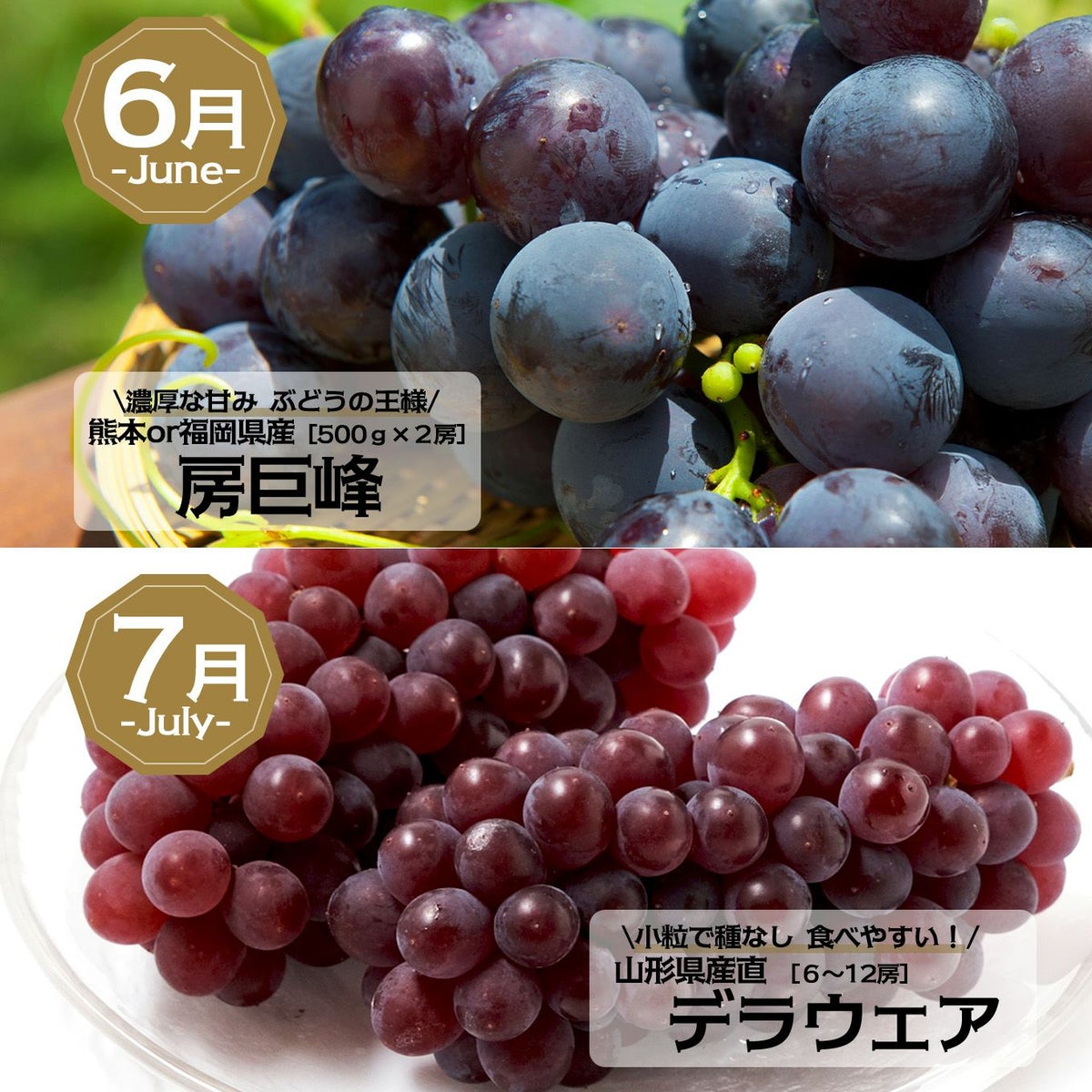 完熟　ぶどうづくし定期便≪月1回お届け：6月～9月／4か月限定／月によって内容量が変わります≫【毎月一律価格・送料無料】