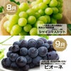 完熟　ぶどうづくし定期便≪月1回お届け：6月～9月／4か月限定／月によって内容量が変わります≫【毎月一律価格・送料無料】