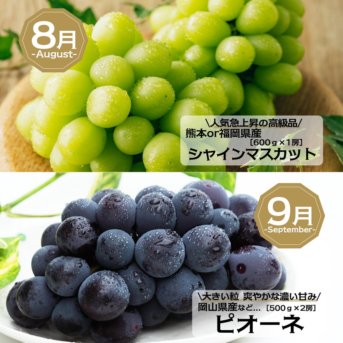 完熟　ぶどうづくし定期便≪月1回お届け：6月～9月／4か月限定／月によって内容量が変わります≫【毎月一律価格・送料無料】