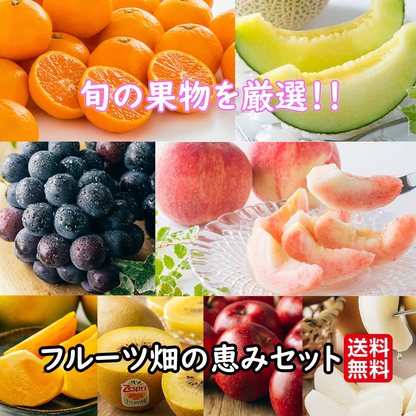 フルーツ畑の恵みセット≪旬の果物を2～5種類詰合せ≫【送料無料